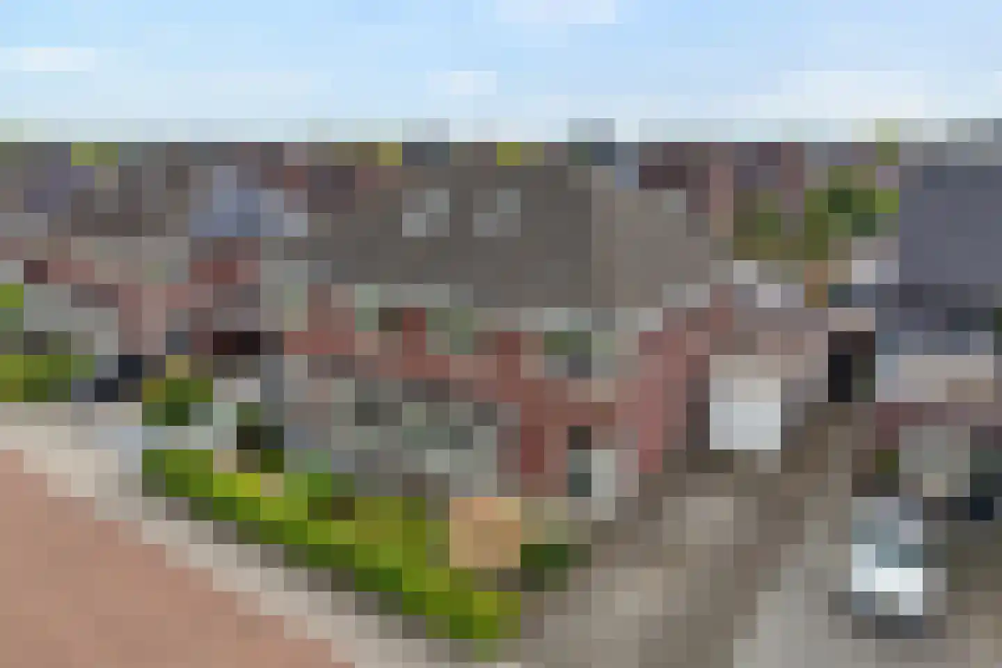 Van Voorststraat 29 Hardenberg thumbnail 54