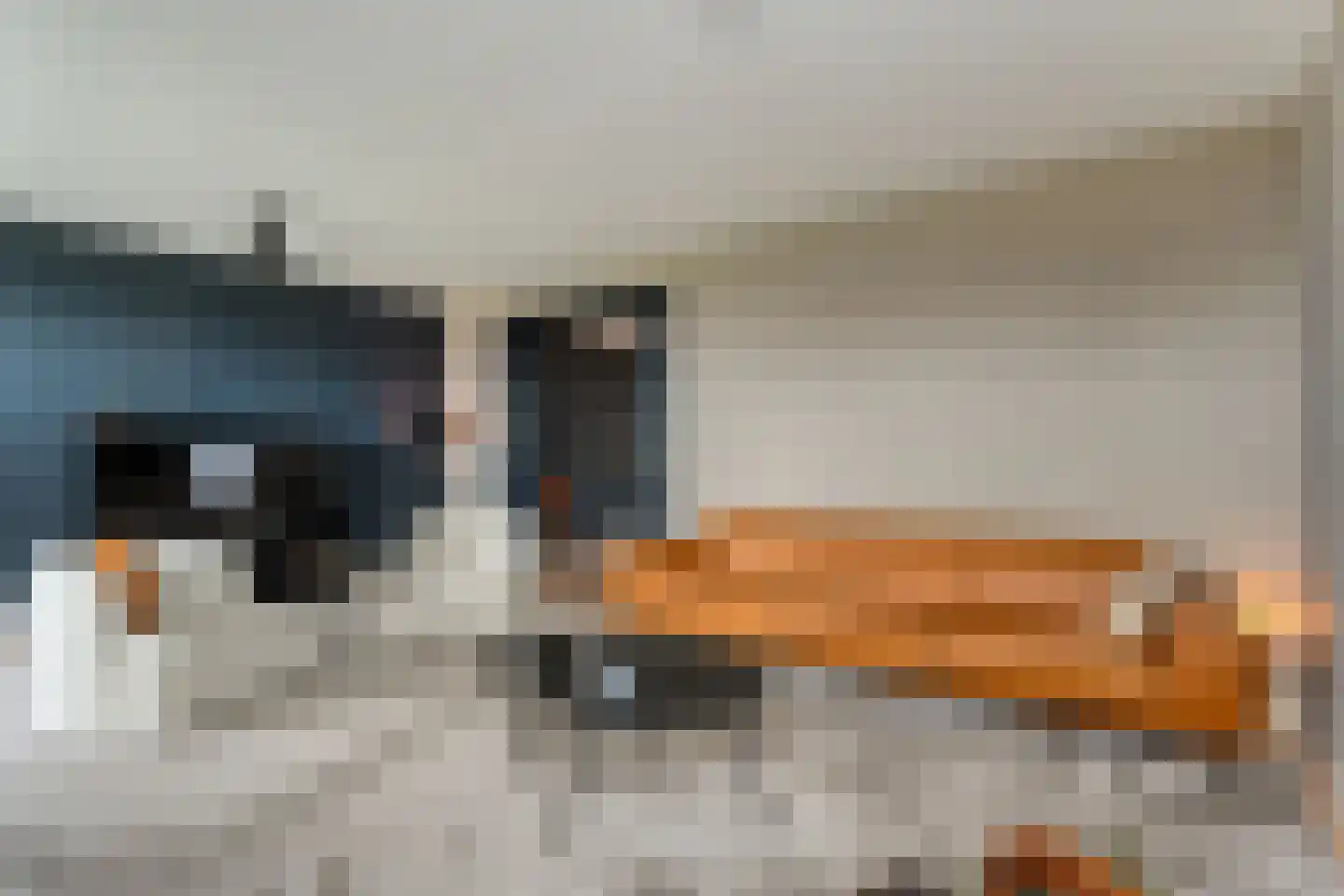 Van Voorststraat 29 Hardenberg thumbnail 9