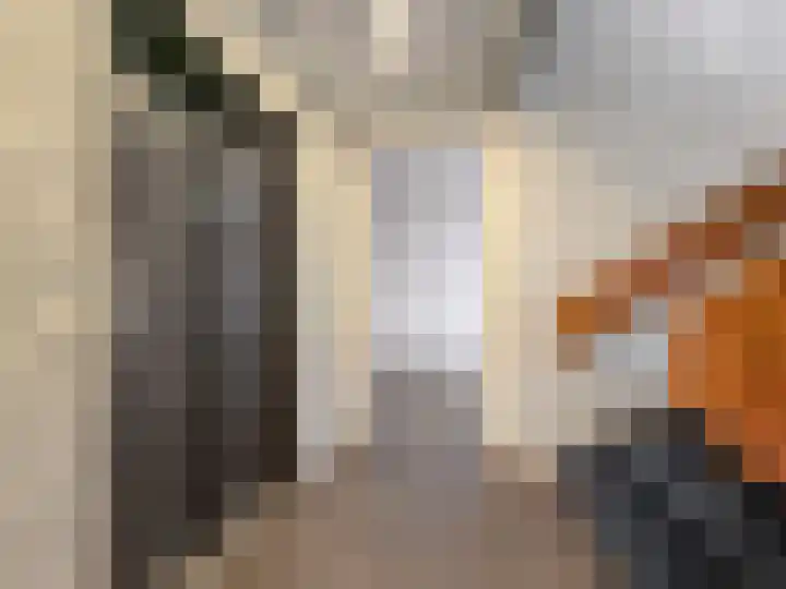 van Voorststraat 3 d Huissen thumbnail 19