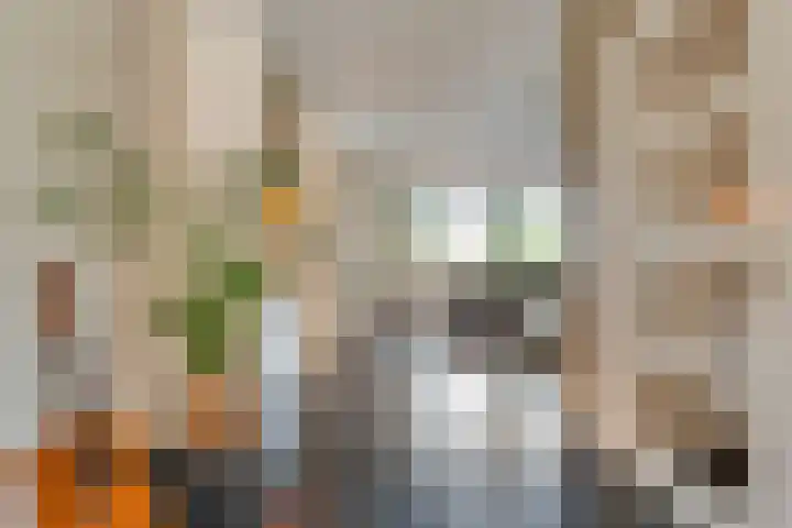 Van Voorststraat 3 Hardenberg thumbnail 13