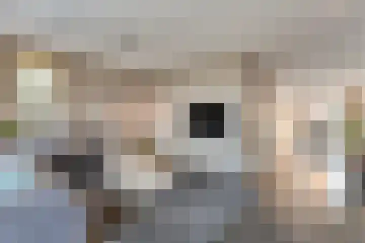 Van Voorststraat 3 Hardenberg thumbnail 15