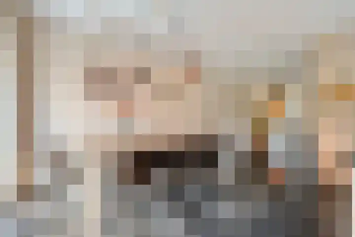Van Voorststraat 3 Hardenberg thumbnail 23