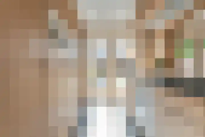 Van Voorststraat 3 Hardenberg thumbnail 25