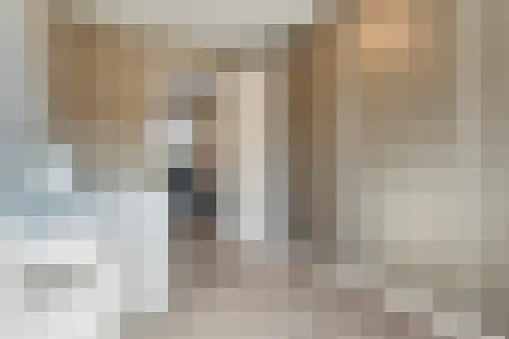 Van Voorststraat 3 Hardenberg thumbnail 30
