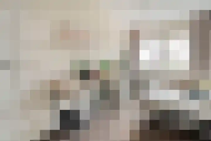 Van Voorststraat 3 Hardenberg thumbnail 38