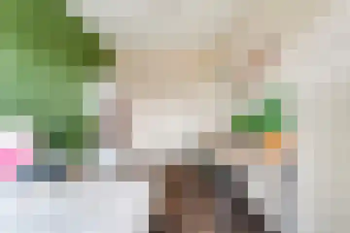 Van Voorststraat 3 Hardenberg thumbnail 39