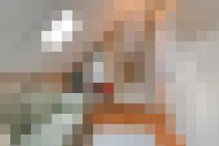 Van Voorststraat 3 Hardenberg thumbnail 48