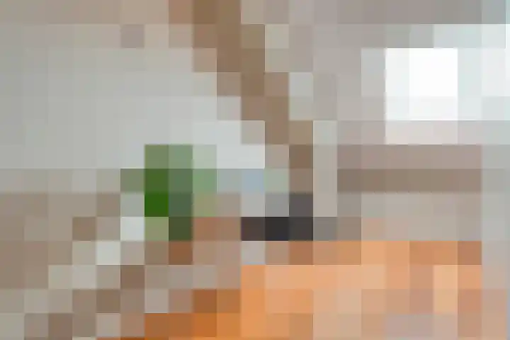 Van Voorststraat 3 Hardenberg thumbnail 50