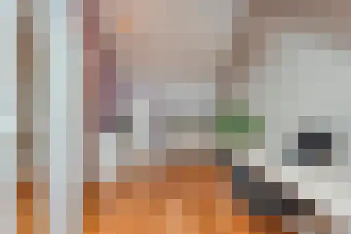 Van Voorststraat 3 Hardenberg thumbnail 51