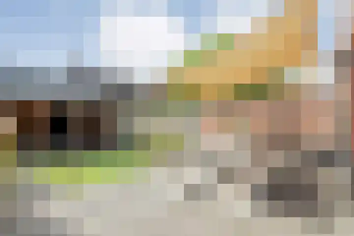 Van Voorststraat 3 Hardenberg thumbnail 58