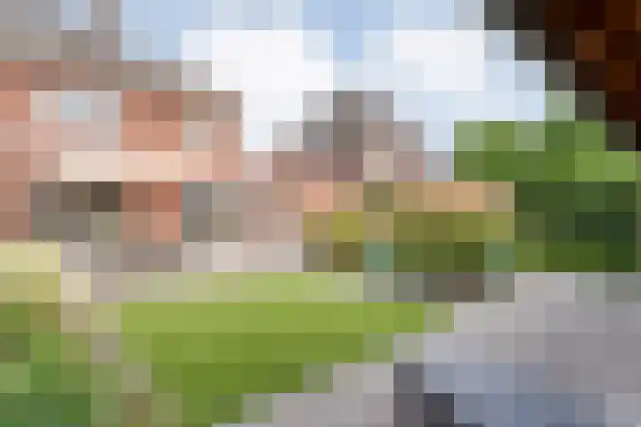 Van Voorststraat 3 Hardenberg thumbnail 59