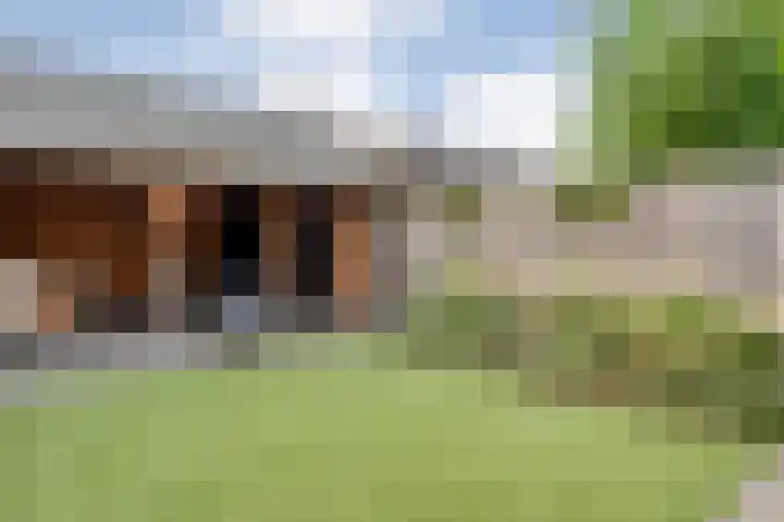 Van Voorststraat 3 Hardenberg thumbnail 60