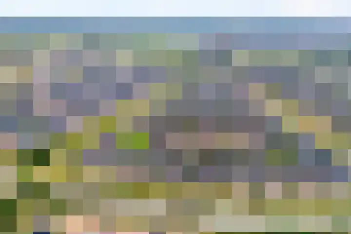 Van Voorststraat 3 Hardenberg thumbnail 7