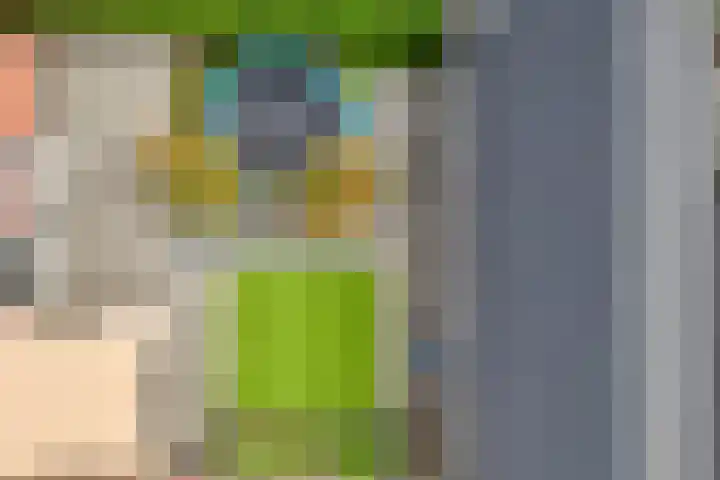 Van Voorststraat 3 Hardenberg thumbnail 71