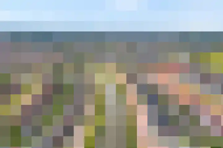 Van Voorststraat 3 Hardenberg thumbnail 73