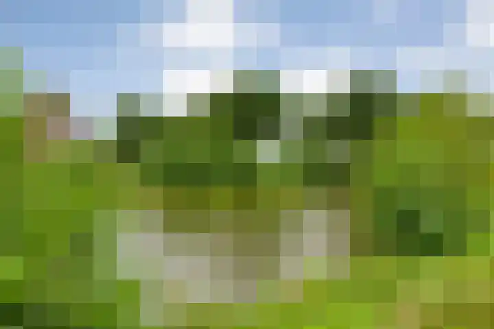Van Voorststraat 3 Hardenberg thumbnail 76