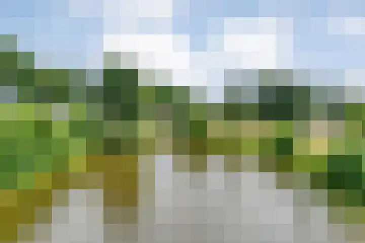 Van Voorststraat 3 Hardenberg thumbnail 77
