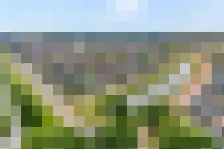 Van Voorststraat 3 Hardenberg thumbnail 8