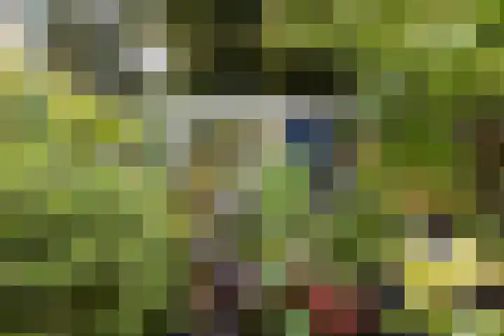 van Voorststraat 8 Waalwijk thumbnail 29