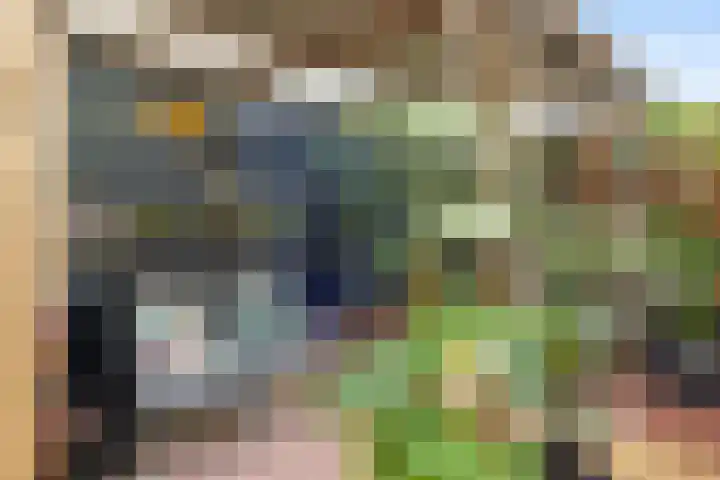 van Voorststraat 8 Waalwijk thumbnail 30
