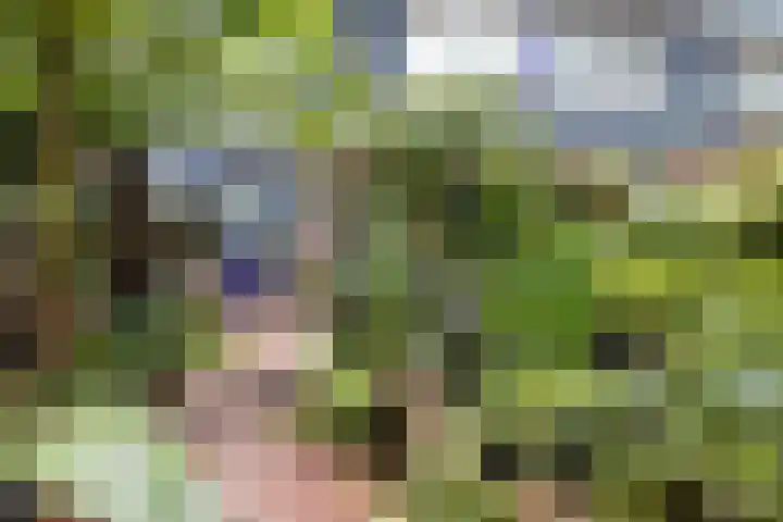 van Voorststraat 8 Waalwijk thumbnail 31
