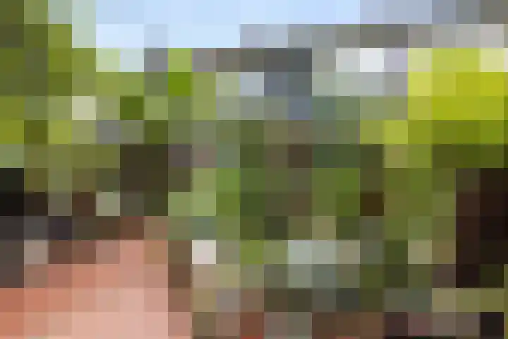 van Voorststraat 8 Waalwijk thumbnail 33