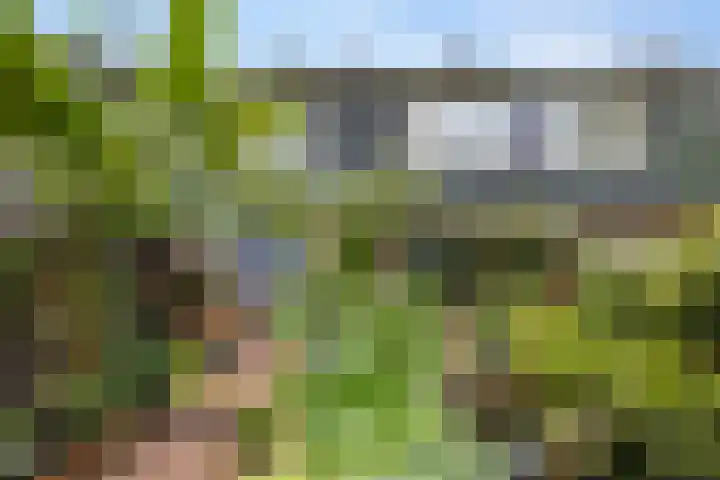 van Voorststraat 8 Waalwijk thumbnail 34