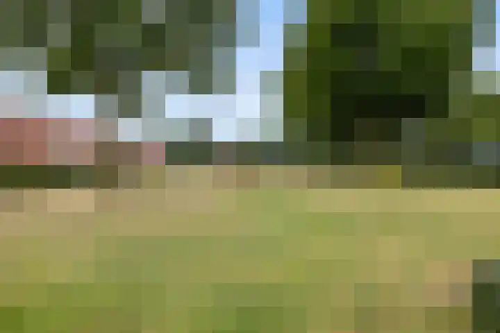 van Voorststraat 8 Waalwijk thumbnail 39