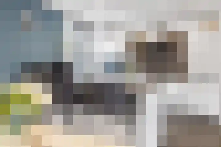 van Voorststraat 8 Waalwijk thumbnail 5