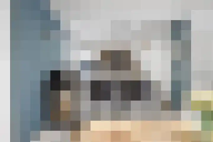 van Voorststraat 8 Waalwijk thumbnail 6