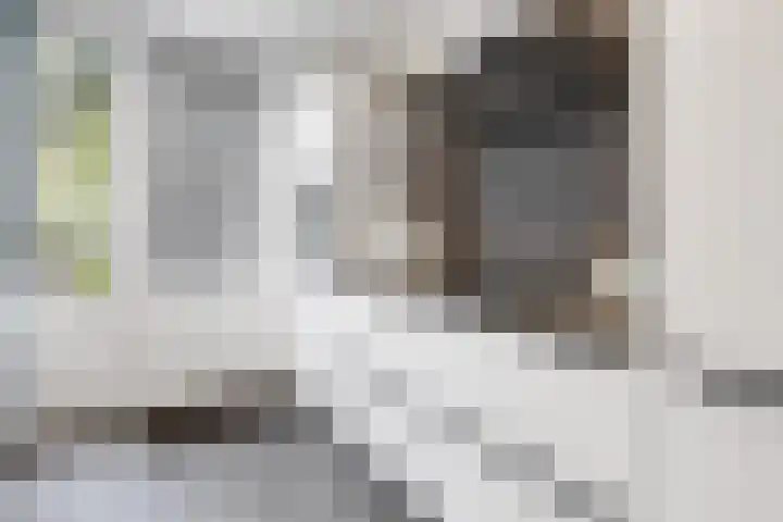 van Voorststraat 8 Waalwijk thumbnail 8