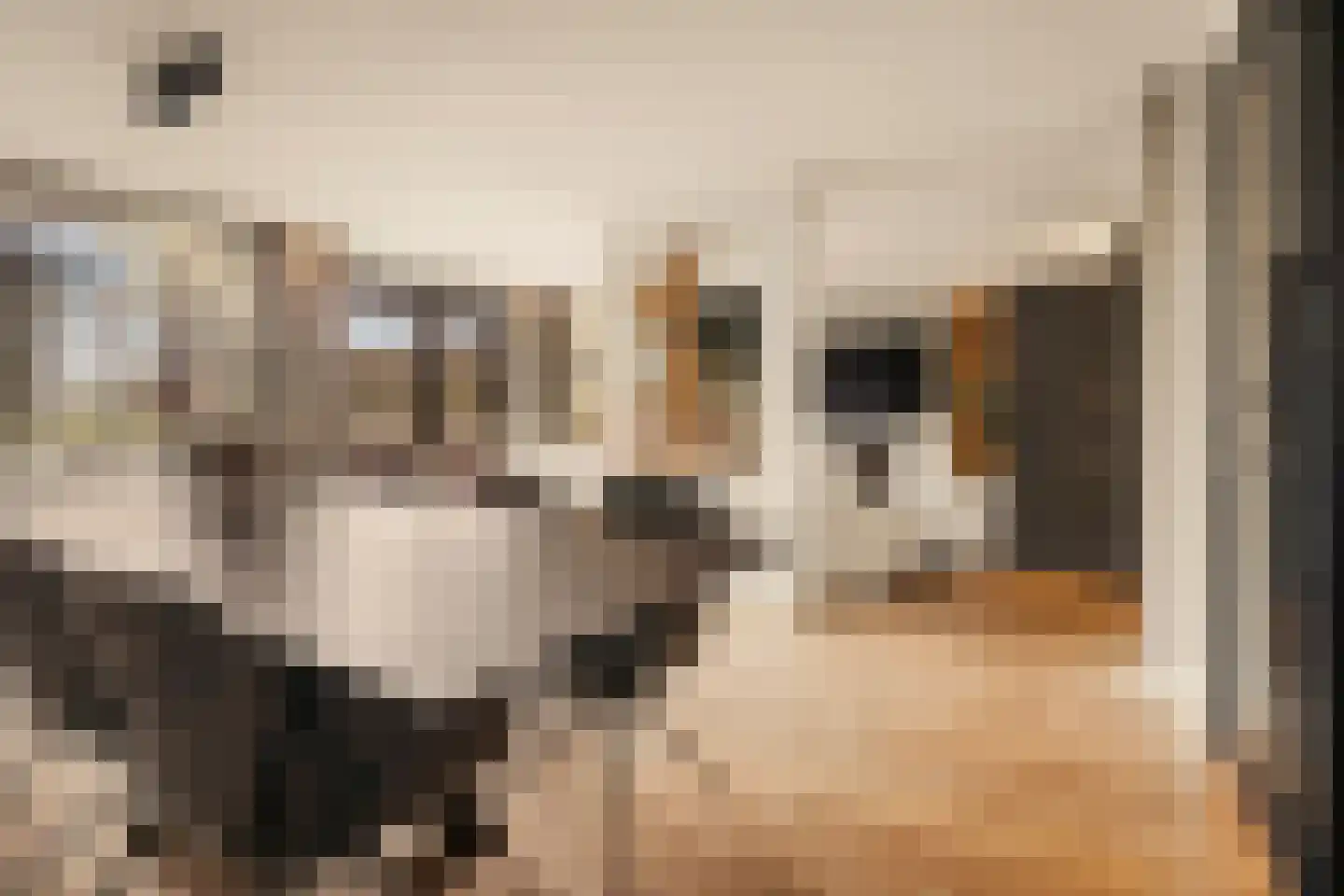 Van Voorthuijsenhof 43 Abcoude thumbnail 10