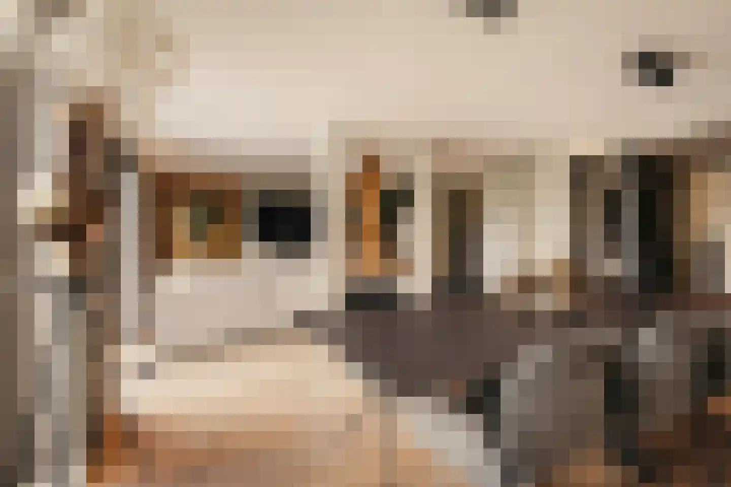 Van Voorthuijsenhof 43 Abcoude thumbnail 12