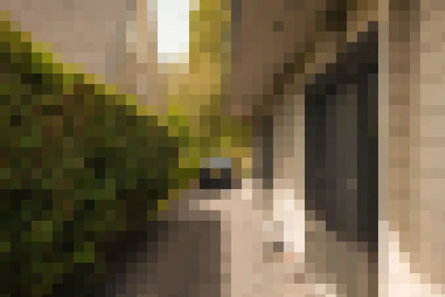 Van Voorthuijsenhof 43 Abcoude thumbnail 21