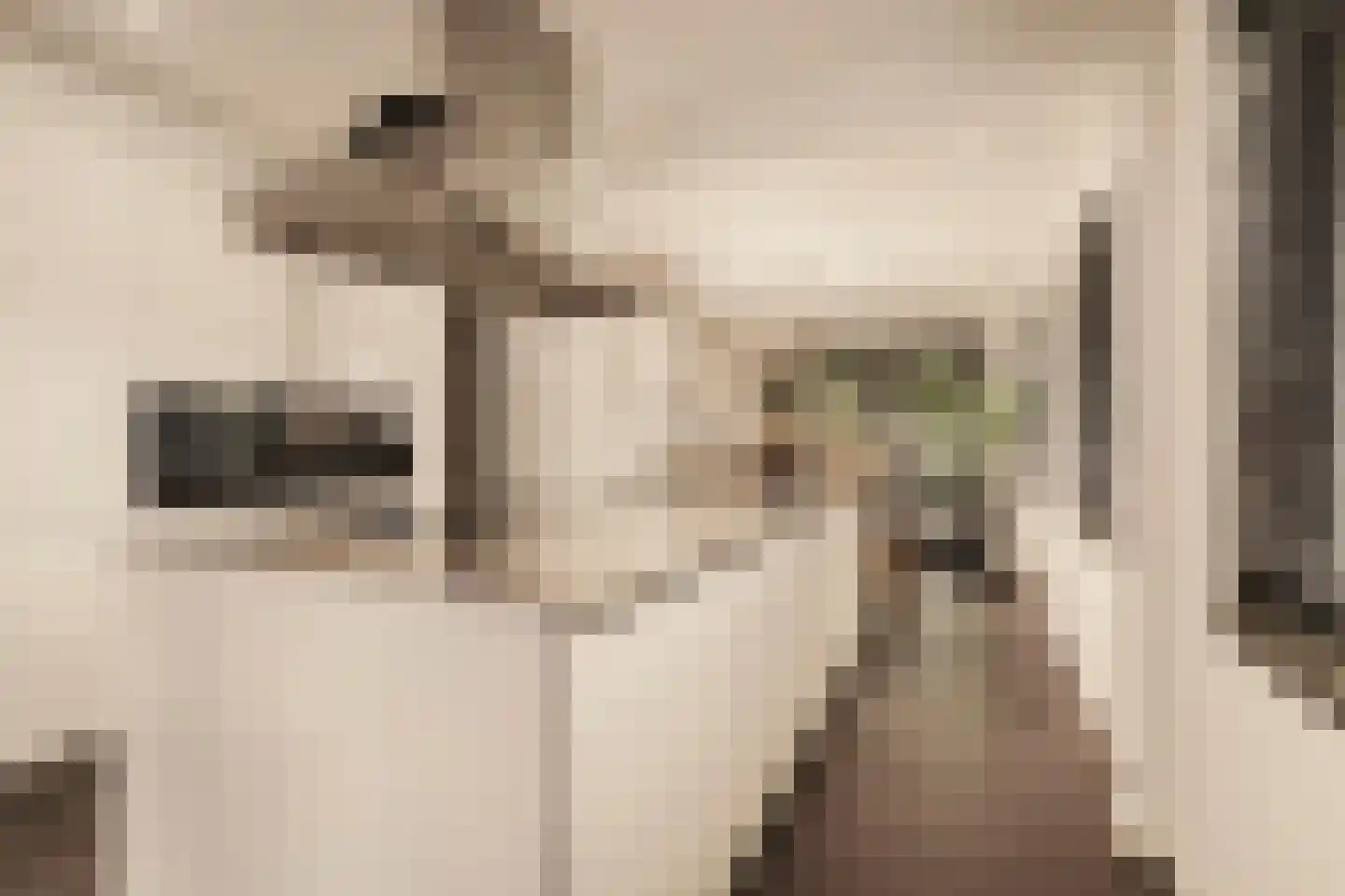 Van Voorthuijsenhof 43 Abcoude thumbnail 27