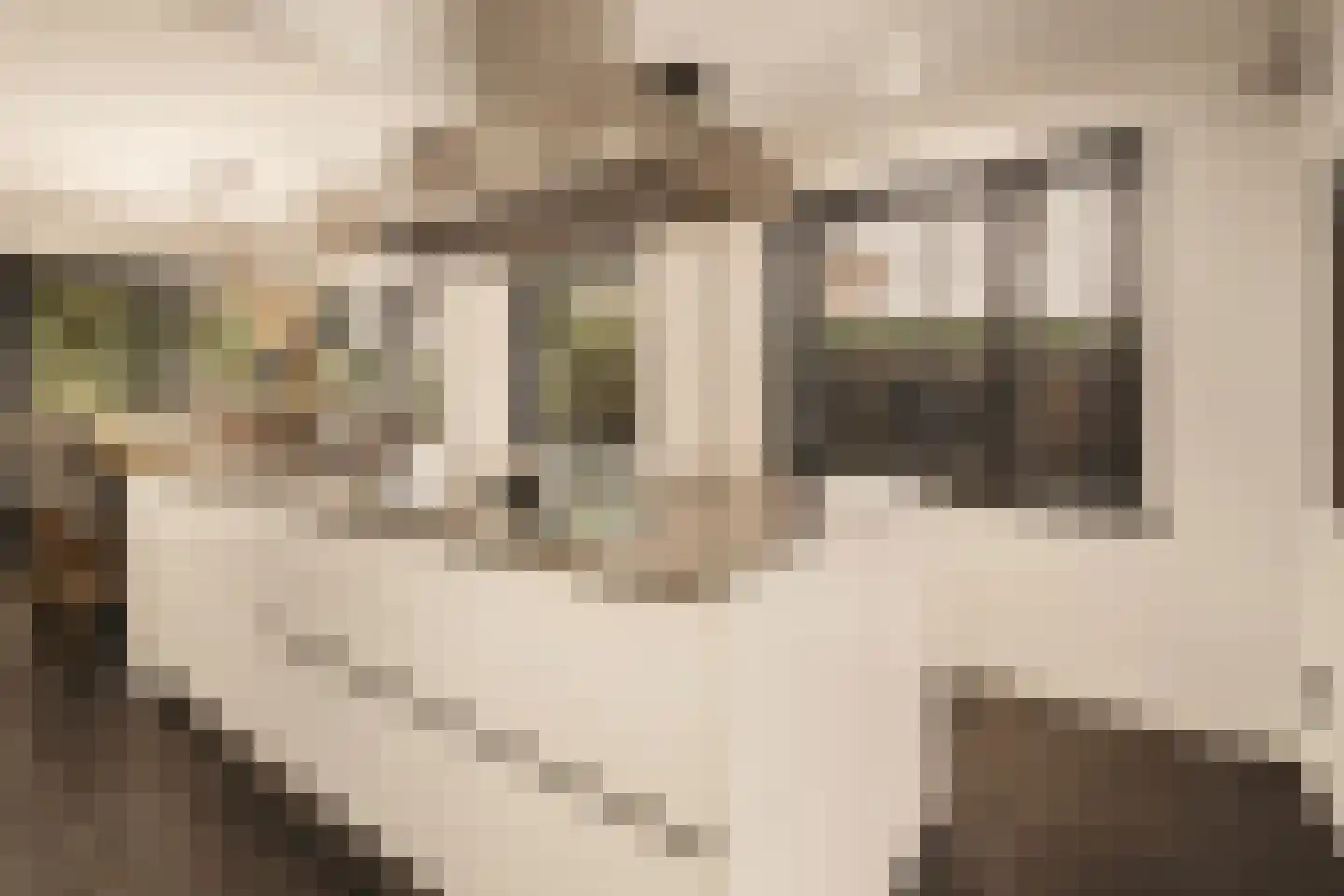 Van Voorthuijsenhof 43 Abcoude thumbnail 28