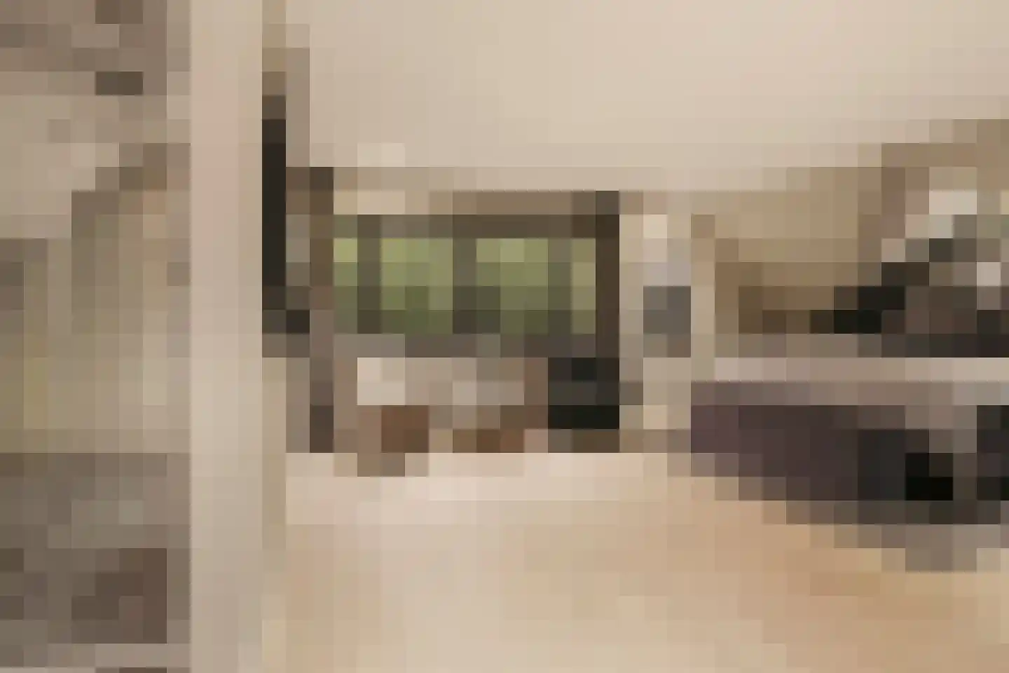 Van Voorthuijsenhof 43 Abcoude thumbnail 34