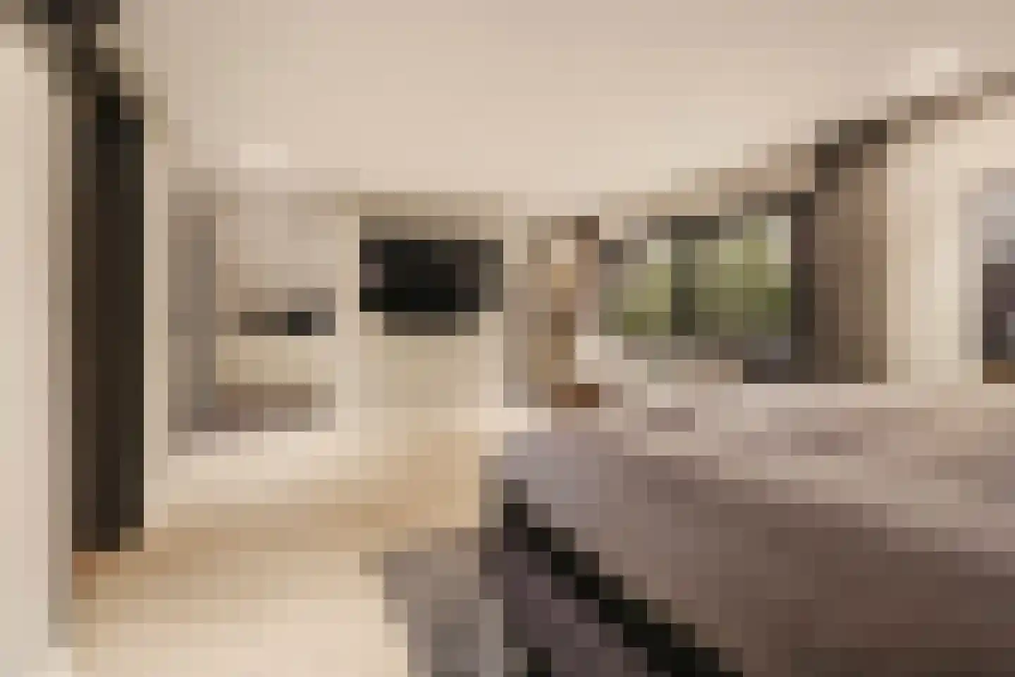 Van Voorthuijsenhof 43 Abcoude thumbnail 36