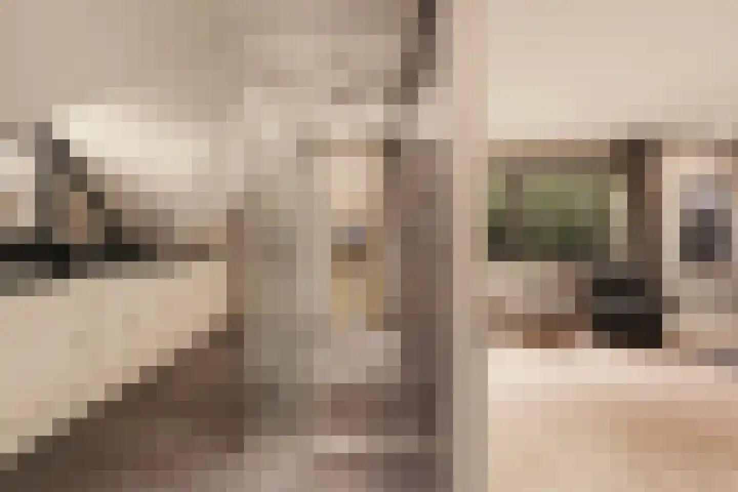 Van Voorthuijsenhof 43 Abcoude thumbnail 39