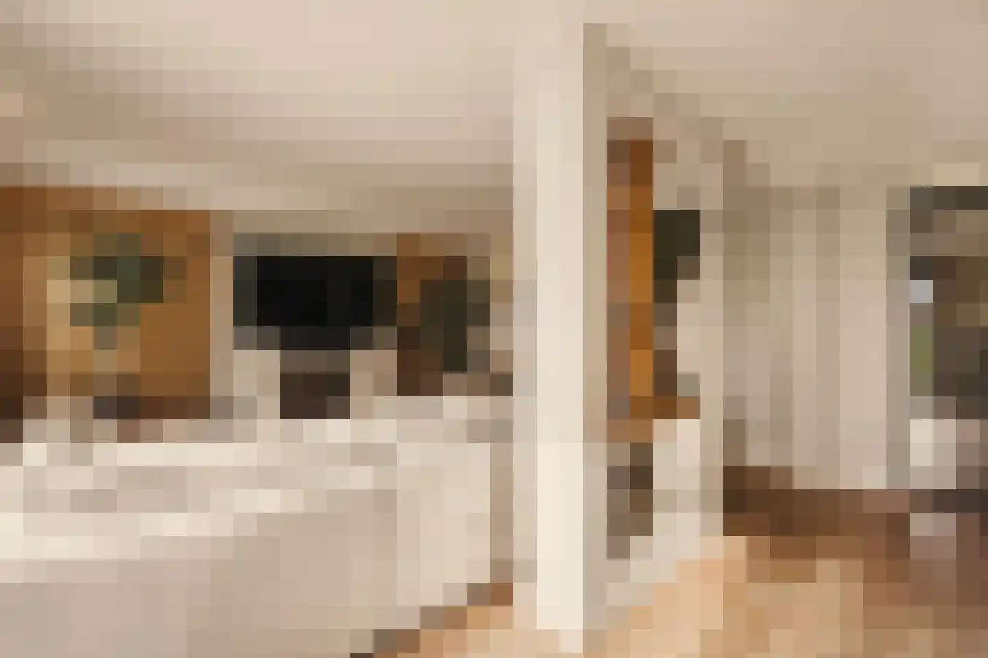 Van Voorthuijsenhof 43 Abcoude thumbnail 4