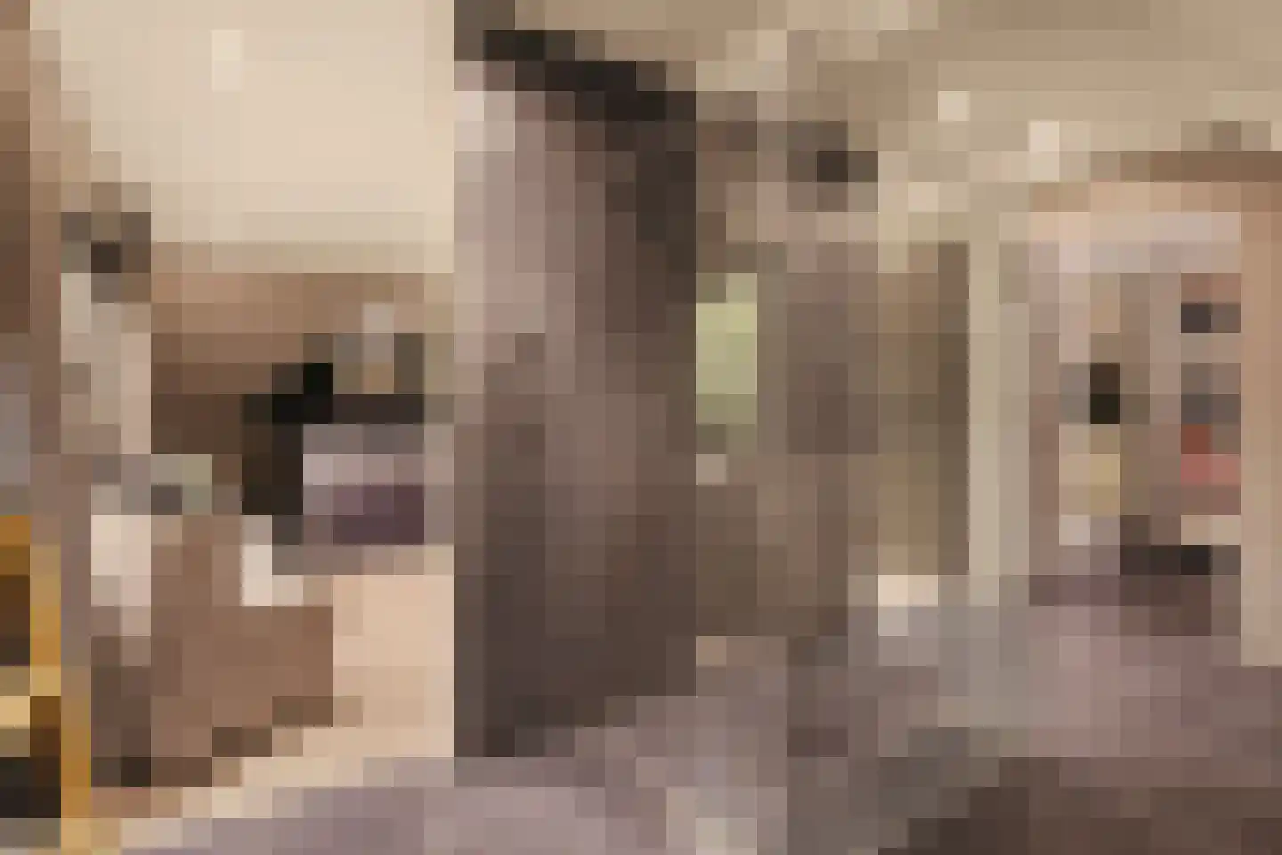 Van Voorthuijsenhof 43 Abcoude thumbnail 40