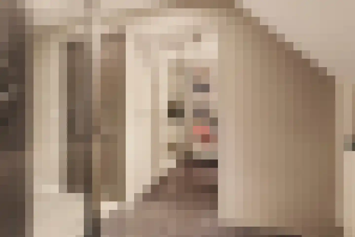 Van Voorthuijsenhof 43 Abcoude thumbnail 43