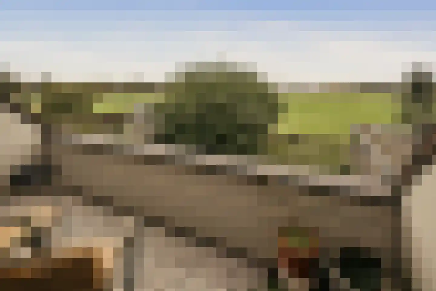 Van Voorthuijsenhof 43 Abcoude thumbnail 50