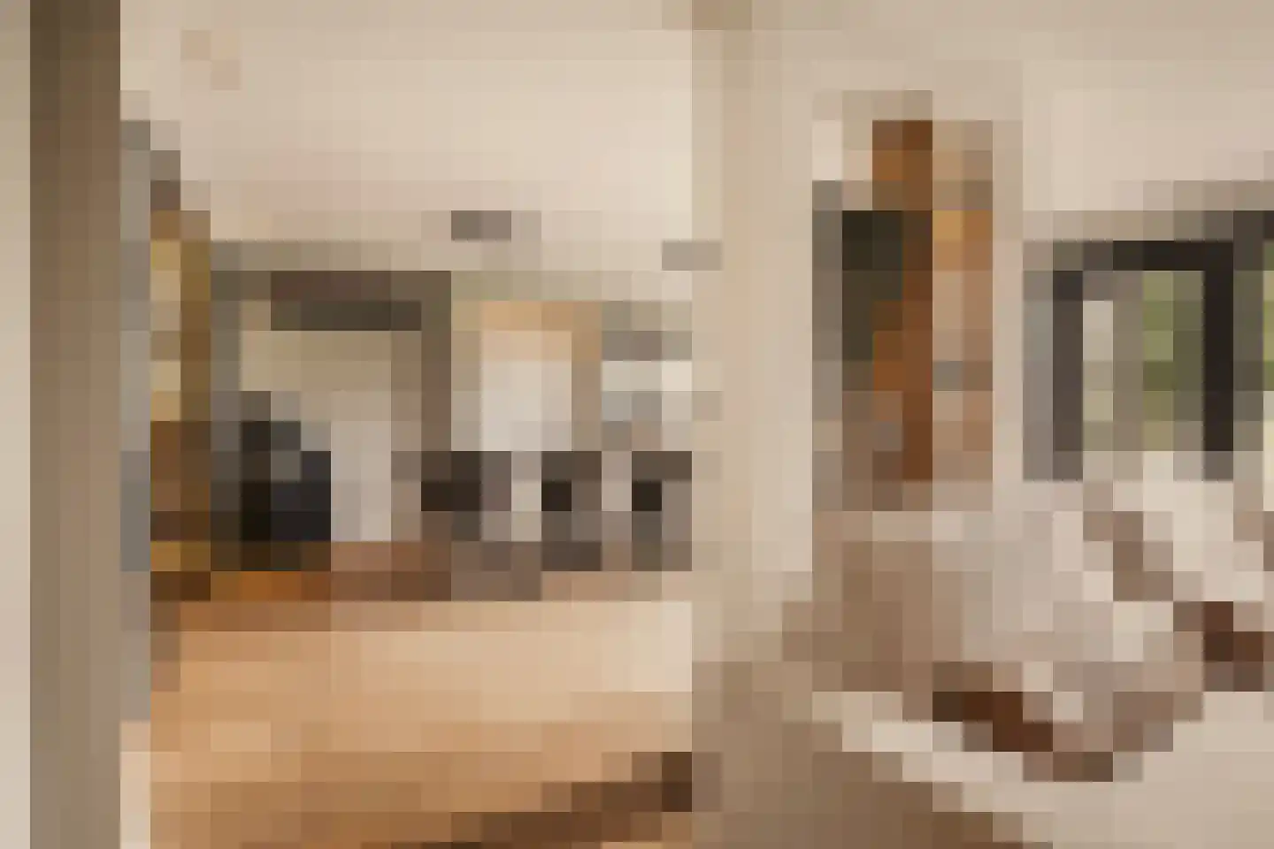Van Voorthuijsenhof 43 Abcoude thumbnail 6