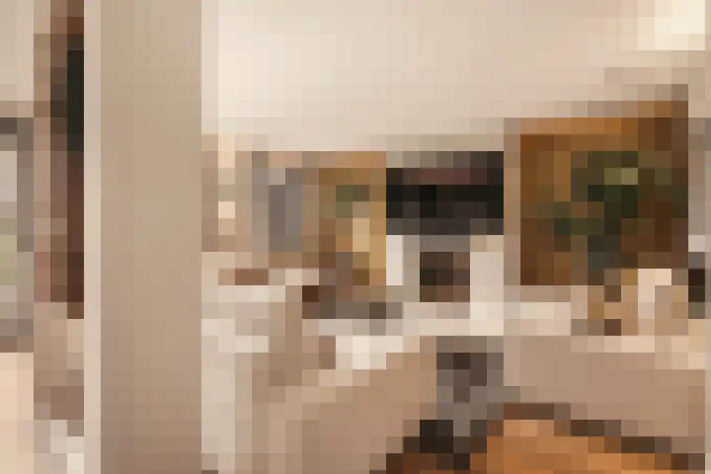 Van Voorthuijsenhof 43 Abcoude thumbnail 7