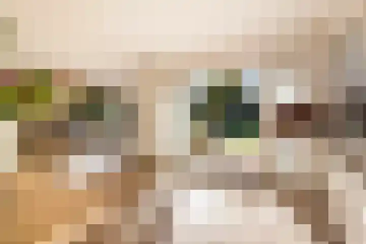 Van Voorthuijsenhof 48 Abcoude thumbnail 21