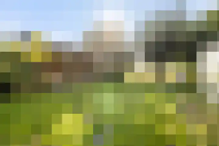 Van Voorthuijsenhof 48 Abcoude thumbnail 29