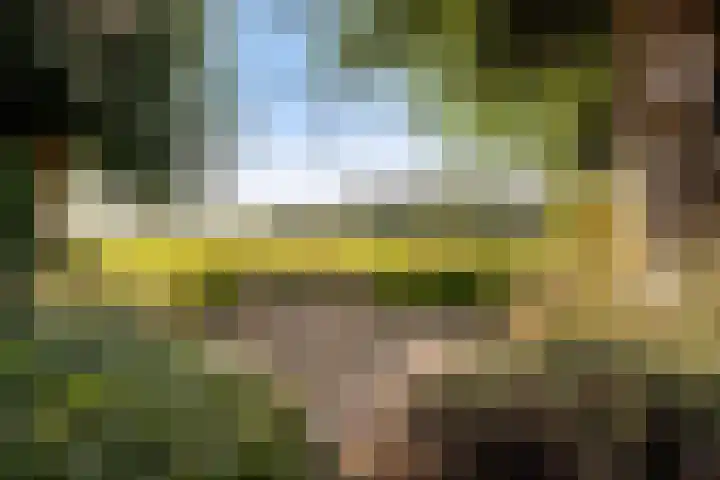 Van Voorthuijsenhof 48 Abcoude thumbnail 35