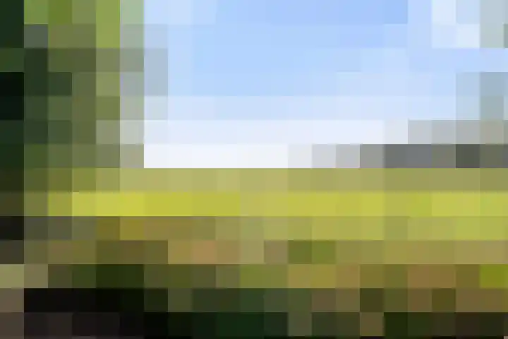 Van Voorthuijsenhof 48 Abcoude thumbnail 36