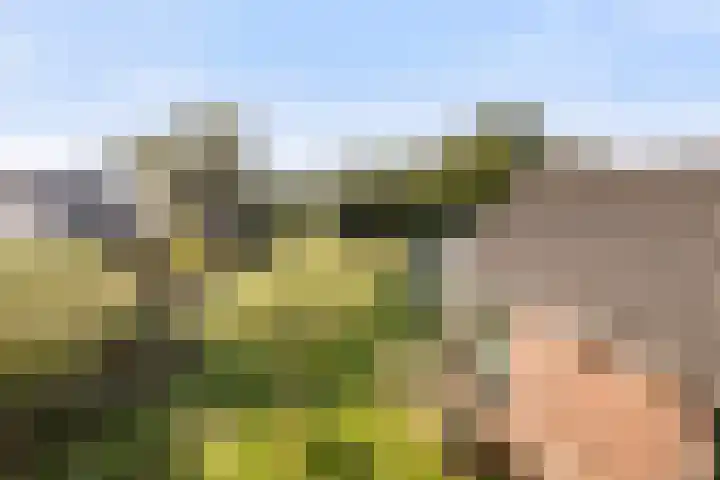 Van Voorthuijsenhof 48 Abcoude thumbnail 43